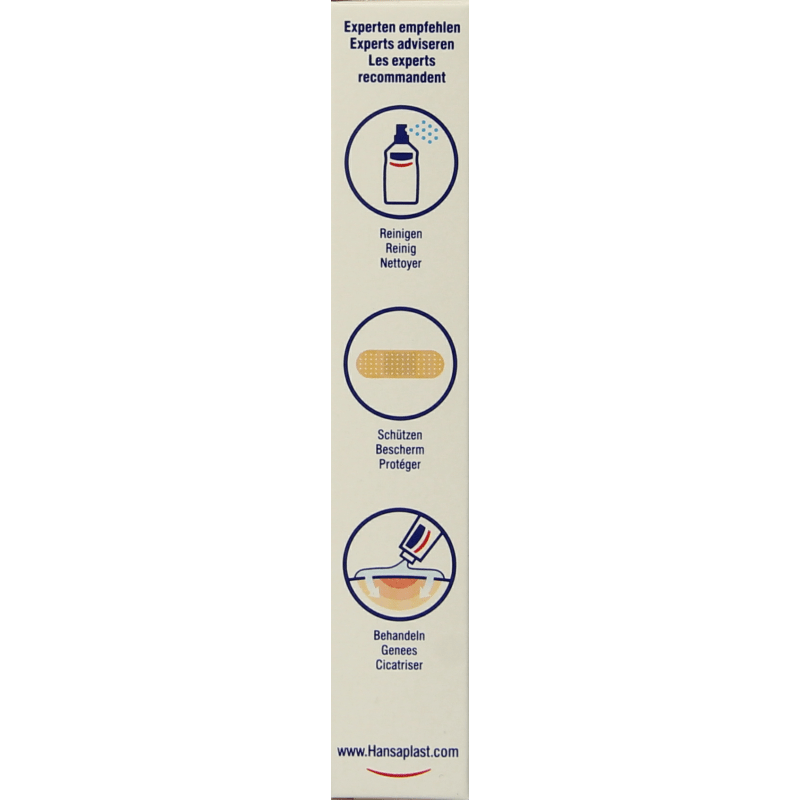Hansaplast Elastic 1m x 8cm 1 Stuks - DrogistWereld