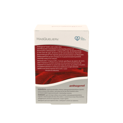 Masqueliers Anthogenol 120 Capsules - DrogistWereld
