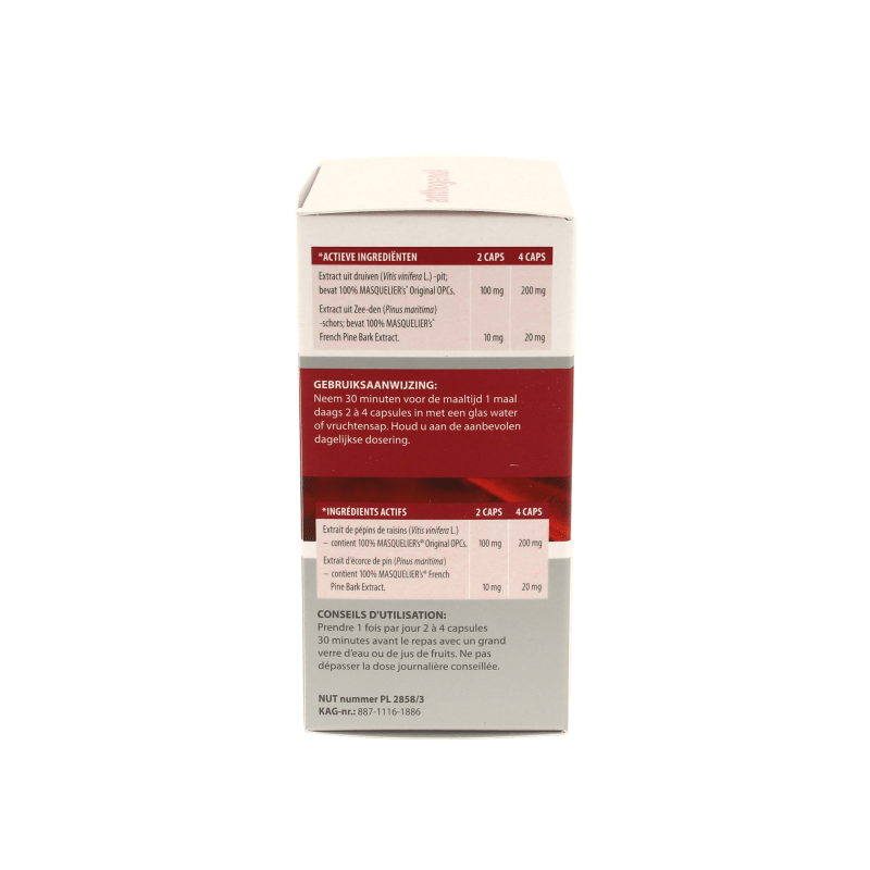 Masqueliers Anthogenol 120 Capsules - DrogistWereld