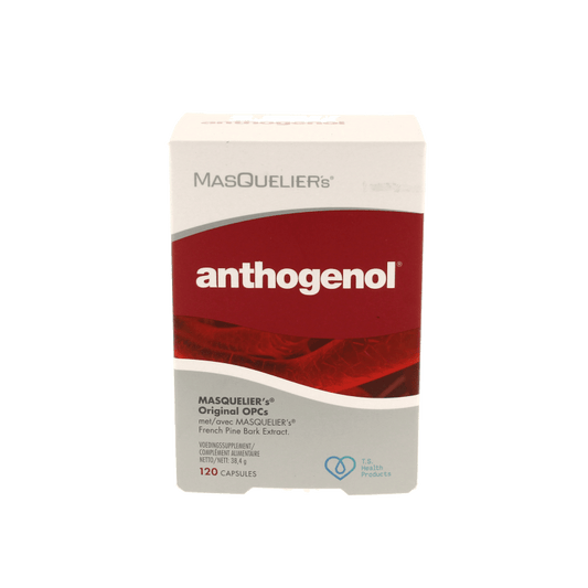 Masqueliers Anthogenol 120 Capsules - DrogistWereld