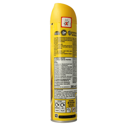 Pledge Meubelspray beautyfy it enhancing polish 250 Milliliter - DrogistWereld