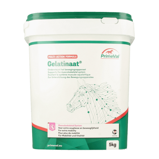 Primeval Gelatinaat paard 5 Kilogram - DrogistWereld