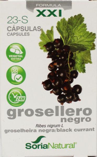 Soria Natural 23 - S Ribes nigrum XXI 30 Capsules - DrogistWereld