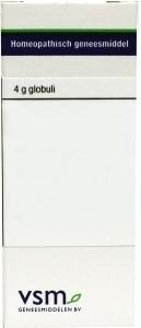 VSM Zincum metallicum LM6 4 Gram - DrogistWereld